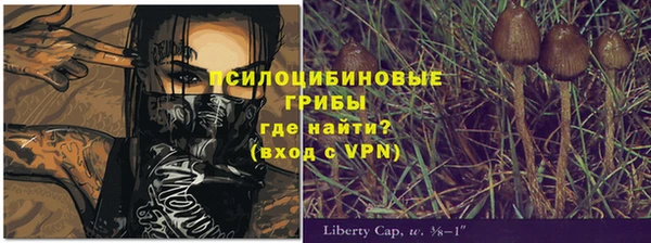 стафф Аркадак