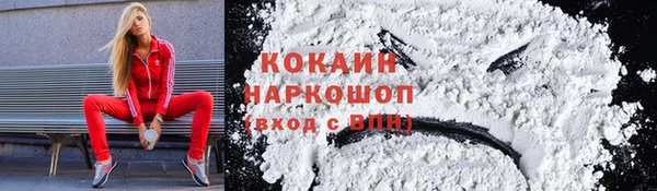 стафф Аркадак