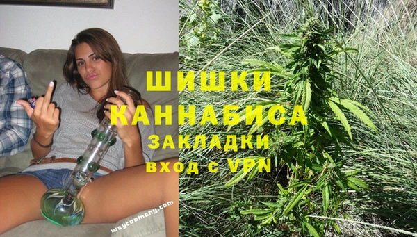 стафф Аркадак