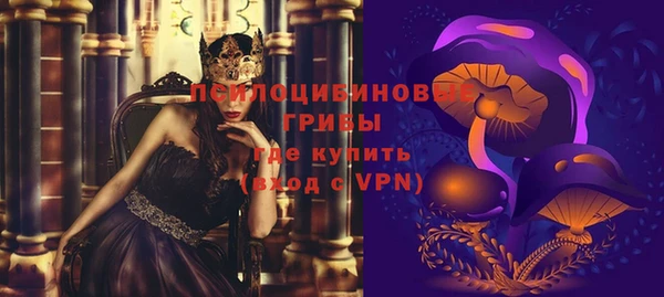 стафф Аркадак