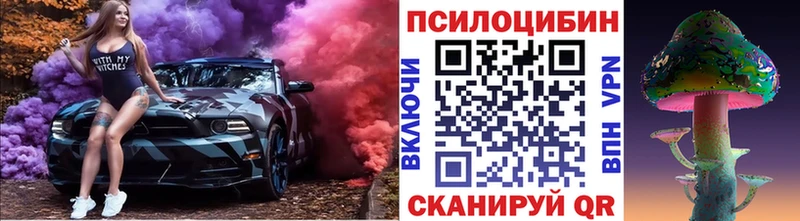 Псилоцибиновые грибы Psilocybine cubensis  продажа наркотиков  Александровское 